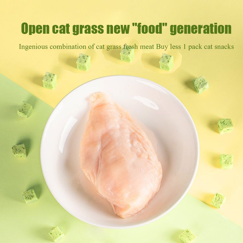 Erba per gatti particelle quad - Snacks Food Ready To Eat recensione e prezzo